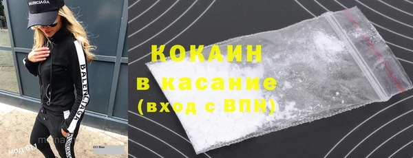 тгк Ельня