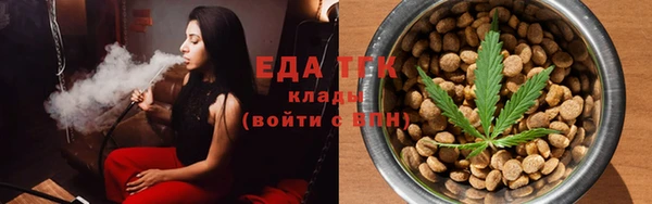 тгк Ельня
