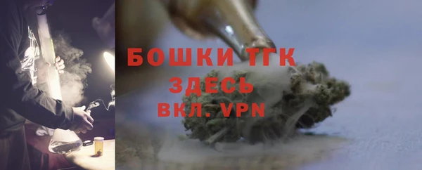 тгк Ельня
