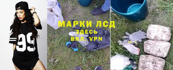 тгк Ельня