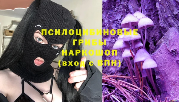 тгк Ельня