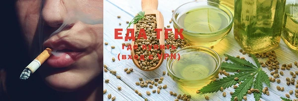 тгк Ельня