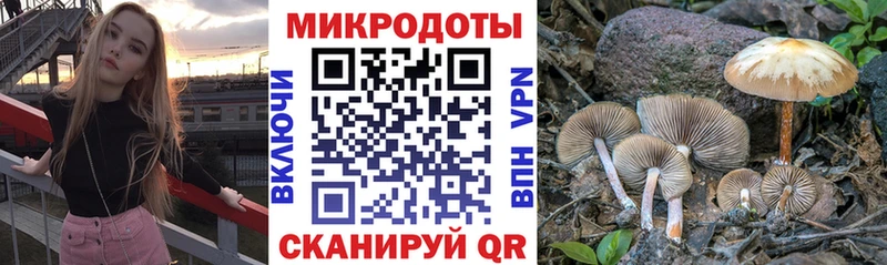Галлюциногенные грибы прущие грибы  закладка  Чекалин 